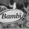 Bambi  oil brand--